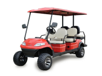 Icon Golf Carts for sale in Clearwater, Tampa, Land O'Lakes, Lutz, Wesley Chapel